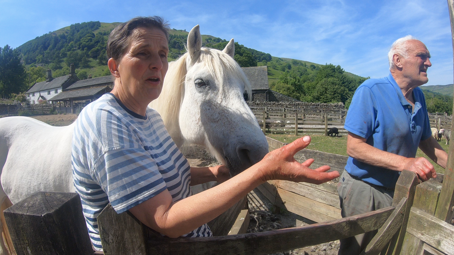 A woman gestures while talking, one hand outstretched, the other resting on a white horse. A man leans on the fence to the right of the image.