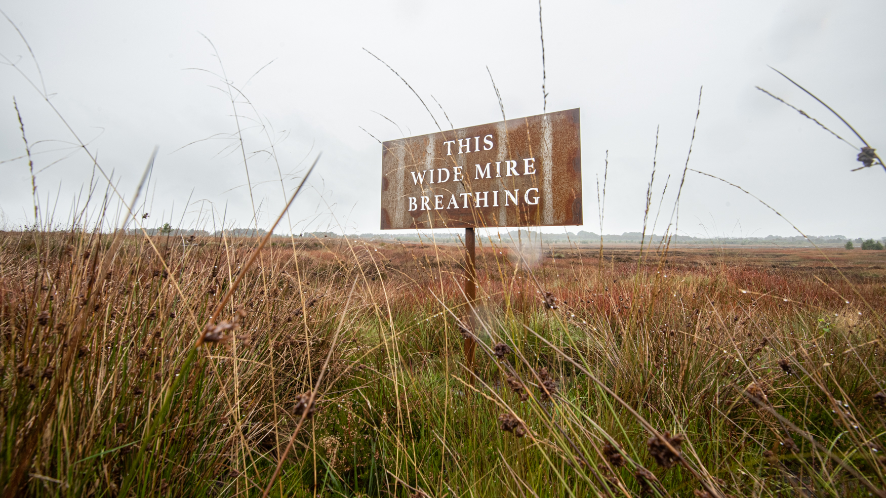 A metal sign set among grasses with a white sky behind. The sign reads 'This Wide Mire Breathing'