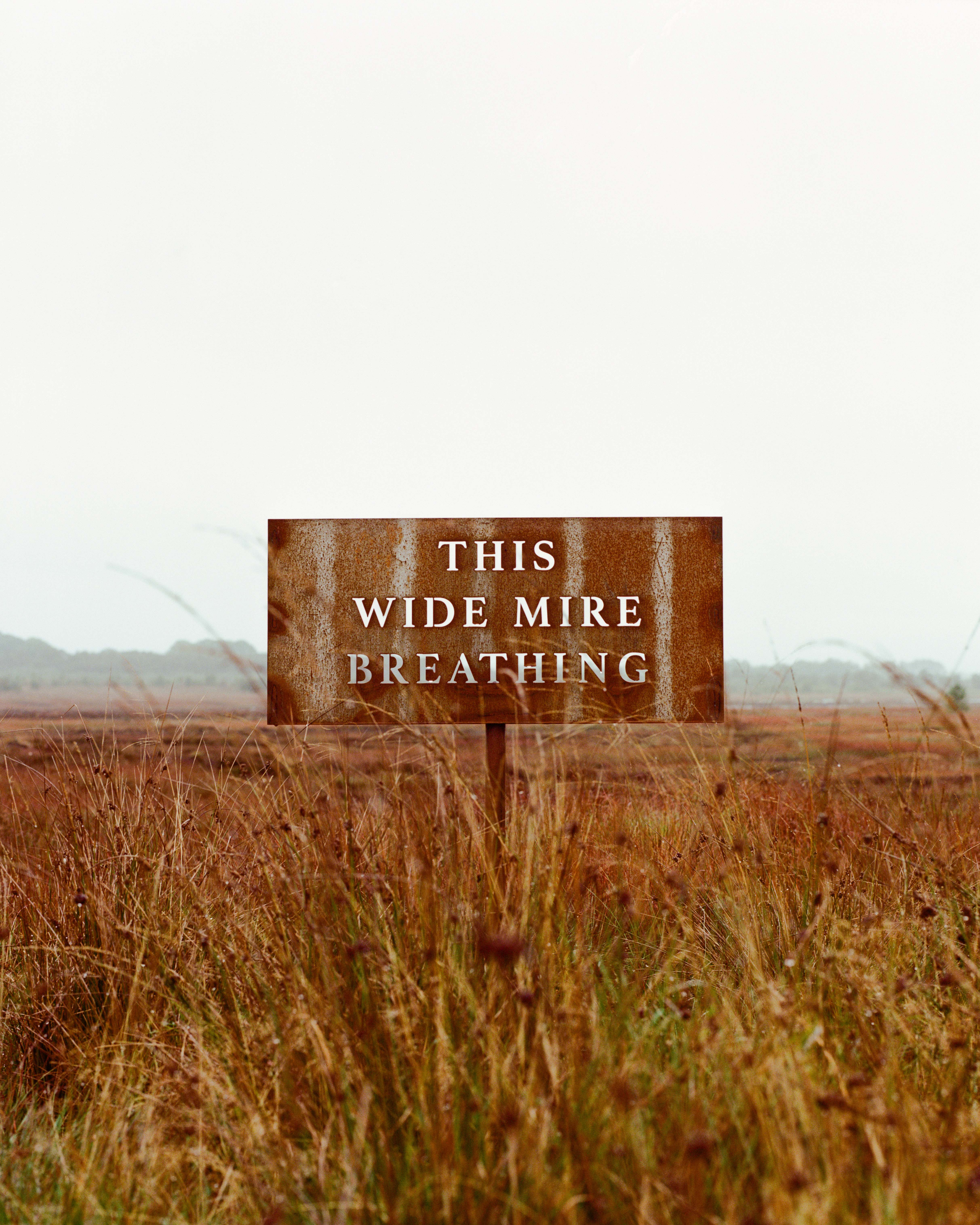 A rusted metal sign on a peat bog, with words cut into it: THIS WIDE MIRE BREATHING
